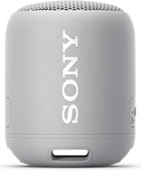 Sony SRS-XB12 Gray