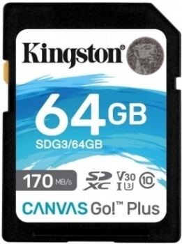 64GB Kingston Canvas Go! Plus