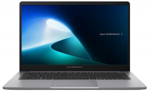 Asus ExpertBook P1