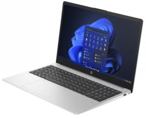 HP 255 G10 Silver