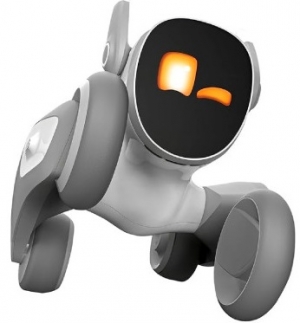 Petbot Loona Smart Robot