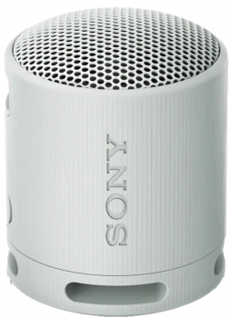 Sony SRS-XB100 Light Grey